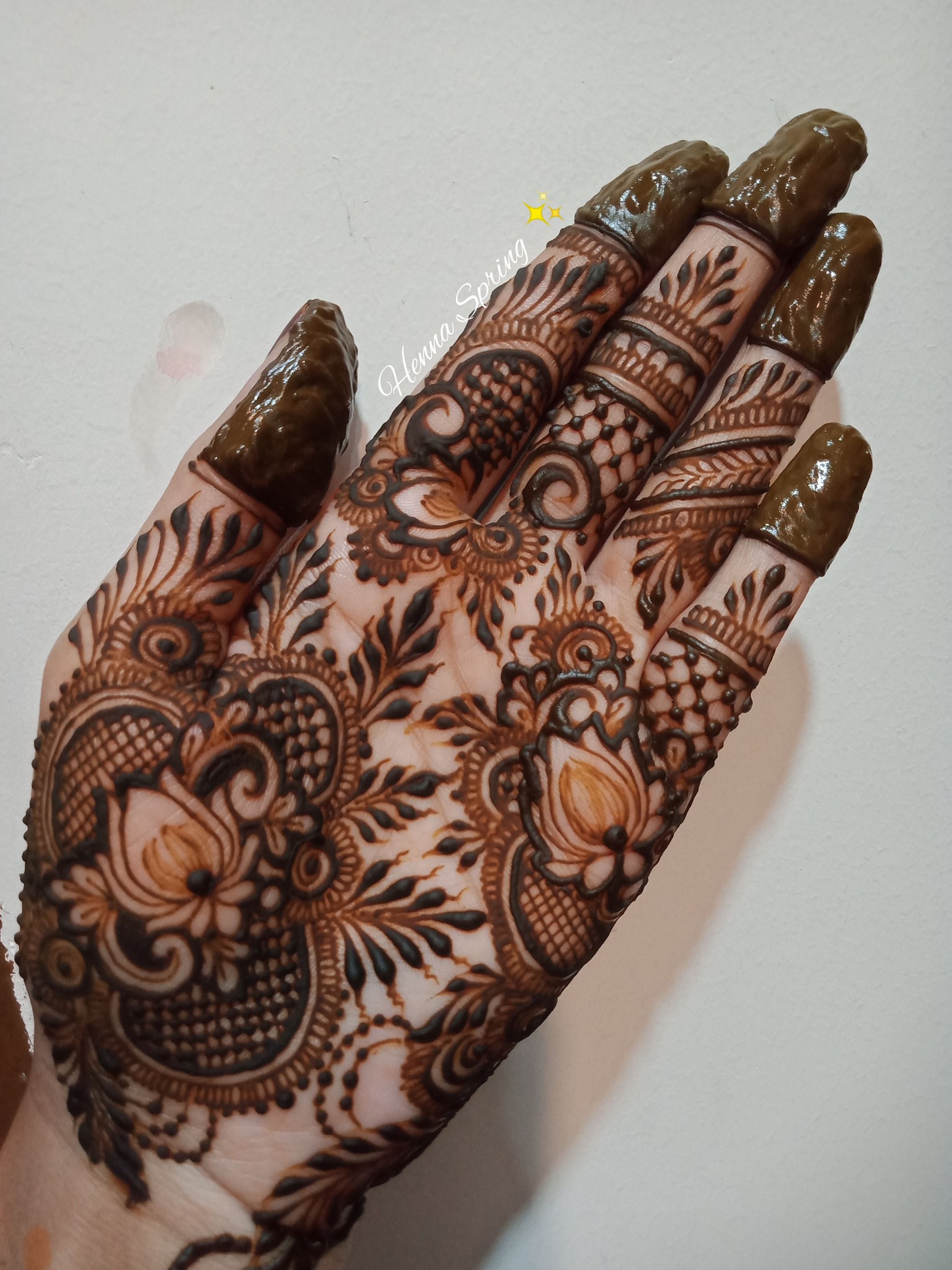 Beautiful Henna Design